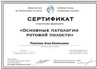 Сертификат сотрудника Рогачева А.Е.